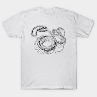 Snaky 1 T-Shirt